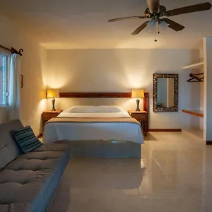 the-diving-lodge-downtown.allrivieramayahotels.com/